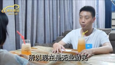 欧美成一区-首映免费播放
